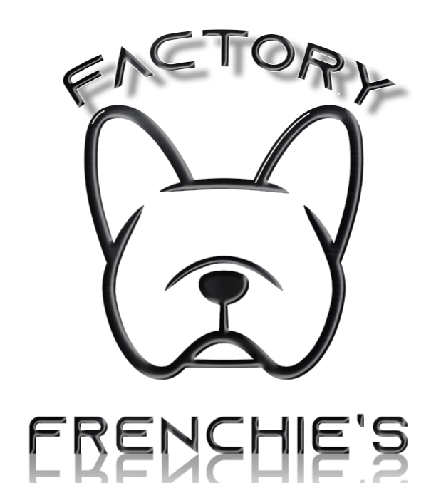 factoryfrenchie